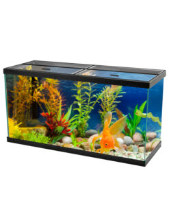 AQUEON AQUARIUM BLACK 90GL