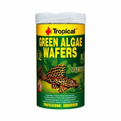 GREEN ALGAE WAFERS alimento vegetal en forma de obleas hundibles con espirulina