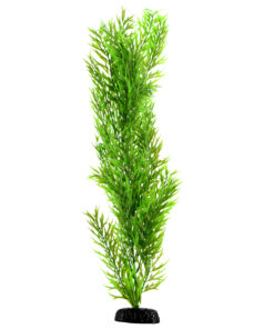 UNDERWATER TREASURE GREEN BAMBOO 24"