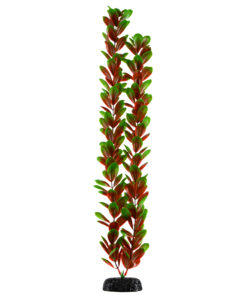 UNDERWATER TREASURE RED/GREEN BACOPA 24"