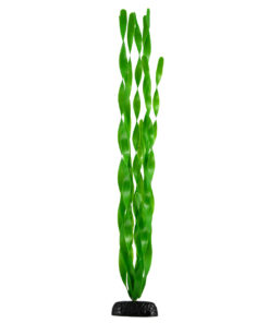 UNDERWATER TREASURE GREEN JUNGLE VALLISNERIA 24"