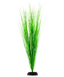 UNDERWATER TREASURE GREEN HAIRGRASS 24"
