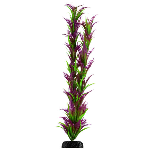 UNDERWATER TREASURE LONELY HEART FERN 24"
