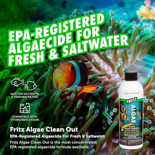 FRITZ ALGAE CLEAN OUT 16OZ - Image 3