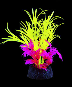 Planta acuática Glo Star Grass Green SM en un acuario