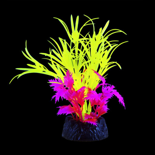 Planta acuática Glo Star Grass Green SM en un acuario