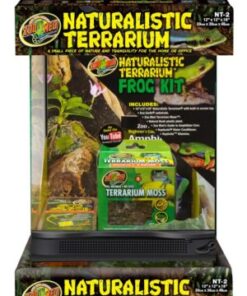 ZOOMED NATURALISTIC TERRARIUM FROG