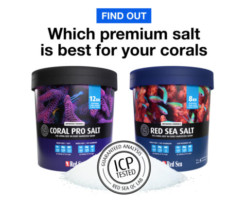 RED SEA SALT 22KG - Image 2