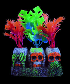 Decoración Acuario Glowing Plant in Skull en un acuario