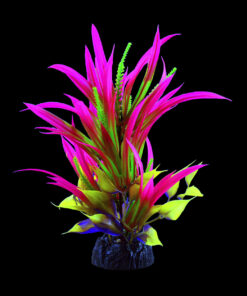 Planta Glo Sagitaria Pink LG
