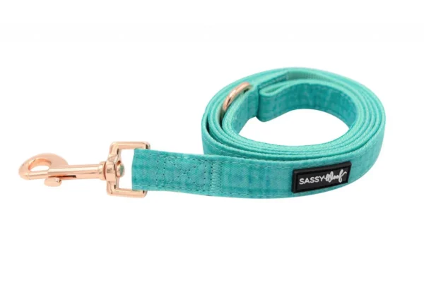 SASSY WOOF LEASH - WAG YOUR TEAL - Imagen 3