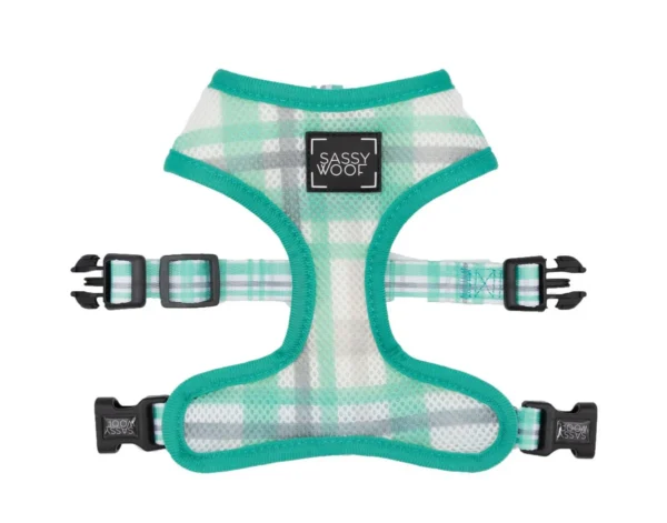 SASSY WOOF LEASH - WAG YOUR TEAL - Imagen 4