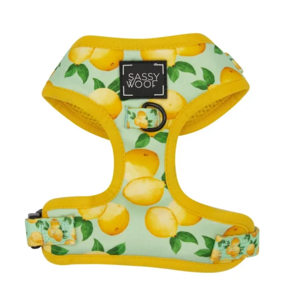 SASSY WOOF LEASH - MAIN SQUEEZE - Imagen 3