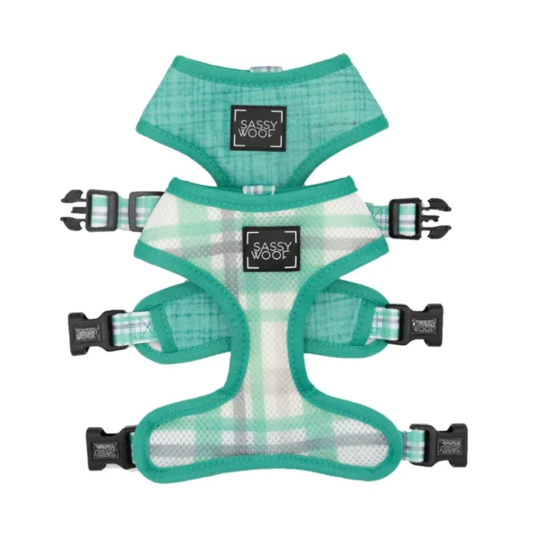 SASSY WOOF LEASH - WAG YOUR TEAL - Imagen 5