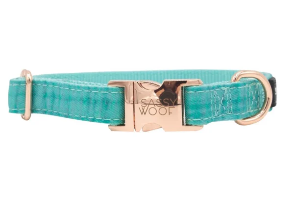 SASSY WOOF LEASH - WAG YOUR TEAL - Imagen 6