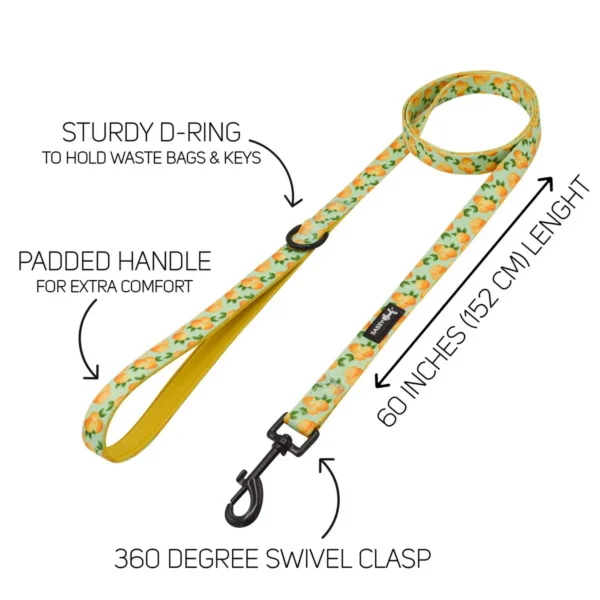 SASSY WOOF LEASH - MAIN SQUEEZE - Imagen 2