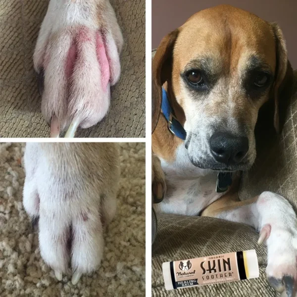 NATURAL DOG COMPANY SKIN SOOTHER TRAVEL STICK TREATS 0.15OZ - Imagen 2