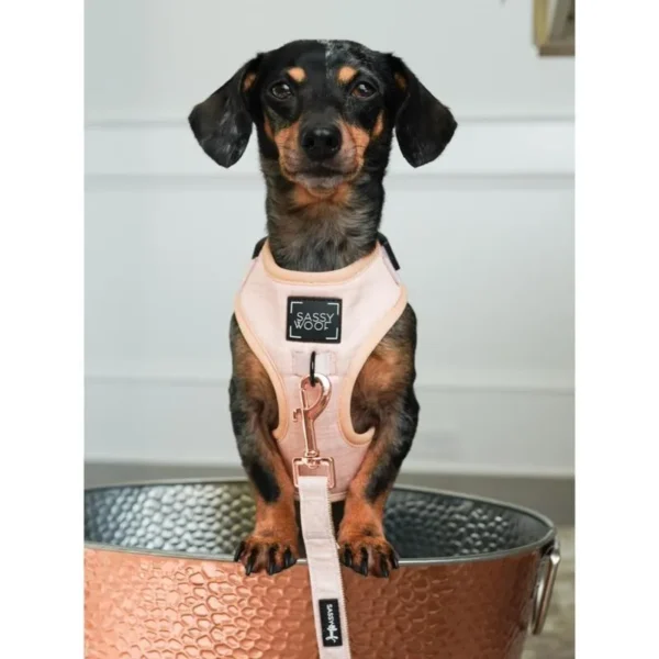 SASSY WOOF LEASH PINOT - Imagen 3