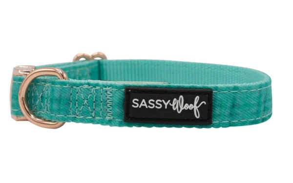 SASSY WOOF LEASH - WAG YOUR TEAL - Imagen 10