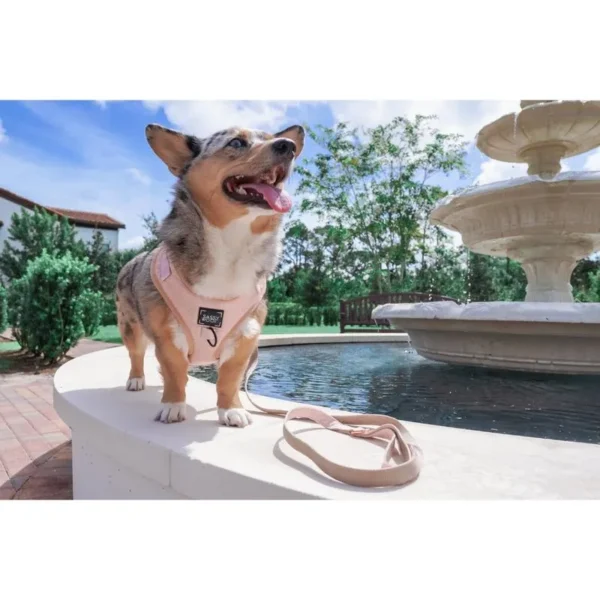 SASSY WOOF LEASH PINOT - Imagen 2