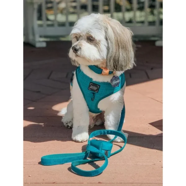 SASSY WOOF LEASH NAPA - Imagen 2