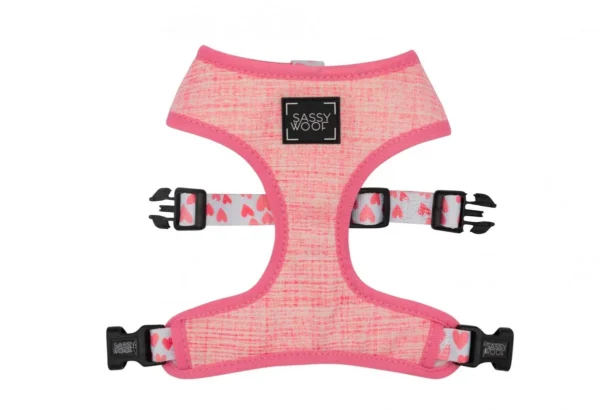 SASSY WOOF WASTE BAG HOLDER - DOLCE ROSE - Imagen 8