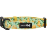 SASSY WOOF LEASH - MAIN SQUEEZE