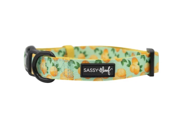 SASSY WOOF LEASH - MAIN SQUEEZE - Imagen 10
