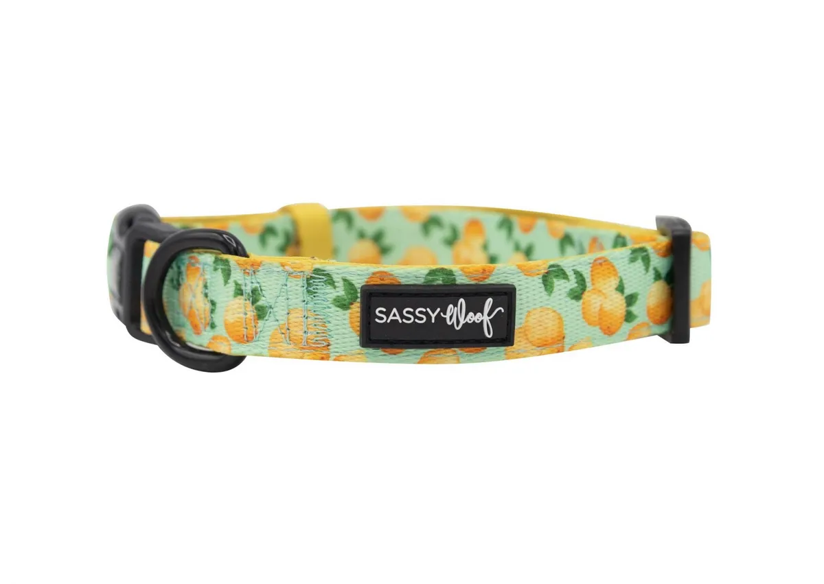SASSY WOOF LEASH - MAIN SQUEEZE - Imagen 10