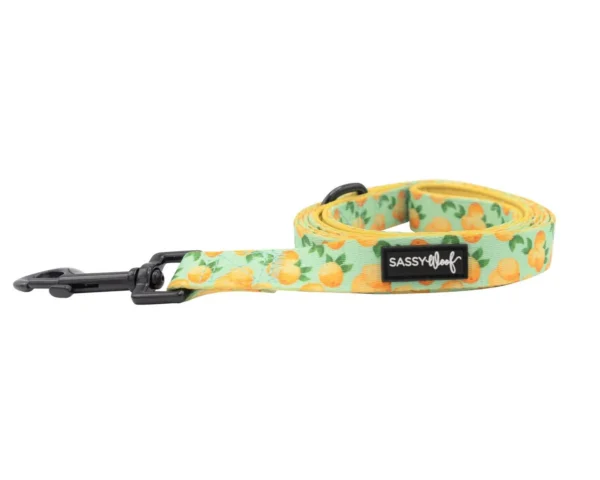 SASSY WOOF LEASH - MAIN SQUEEZE - Imagen 4