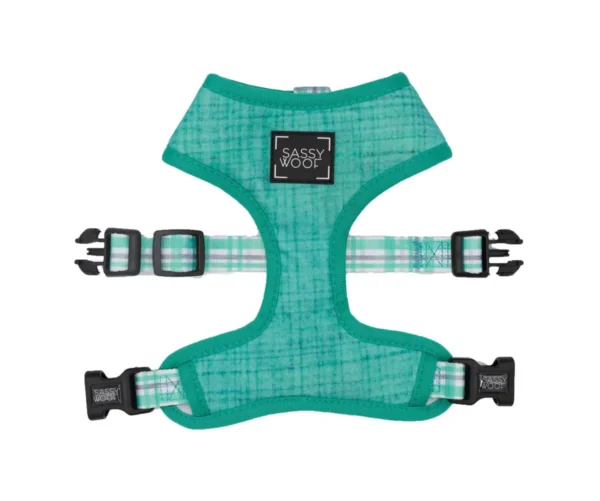 SASSY WOOF LEASH - WAG YOUR TEAL - Imagen 8