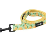 SASSY WOOF LEASH - MAIN SQUEEZE