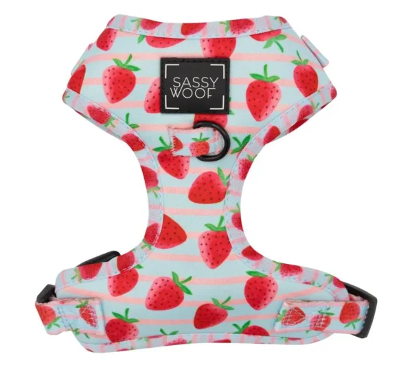 SASSY WOOF AJUSTABLE HARNESS I WOOF YOU BERRY MUCH - S