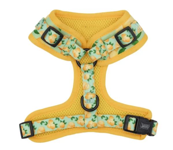 SASSY WOOF LEASH - MAIN SQUEEZE - Imagen 8