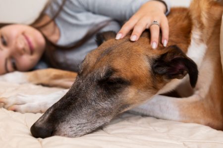 Se-Puede-Vivir-sin-un-Perro--Pero-No-Valdría-la-Pena